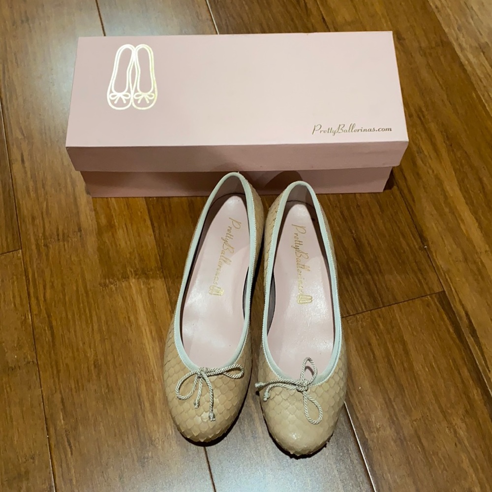 Pretty Ballerinas Shoes